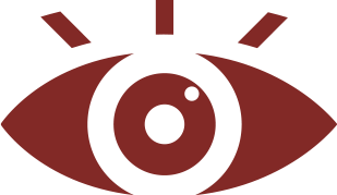 vision-icon